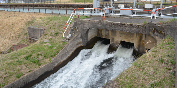 落差のある流速が大きい用水